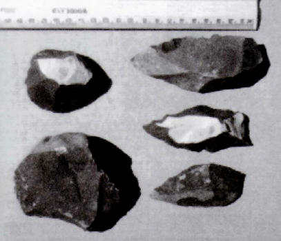 Pygmy Stone Tools